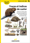 Traces et indices de castor