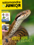 Sommaire du n°124 de la Salamandre junior