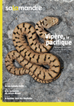 Sommaire du n°252 de la Salamandre