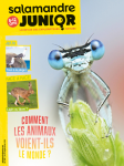 Sommaire du n°125 de la Salamandre junior
