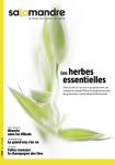 Les herbes essentielles