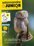 Sommaire du n°117 de la Salamandre junior