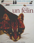 Un félin