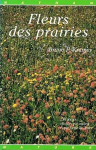 Fleurs des prairies