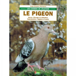 Le pigeon