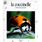 La coccinelle