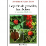 Le jardin de groseilles, framboises et autres fruits