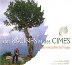 Des racines et des cimes
