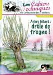 Arbre têtard : drôle de trogne !